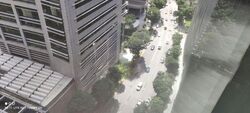 PLUS (D1), Office #559413021